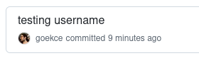 ../_images/github-testing-new-username.png